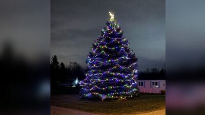 Residents help 88-year-old man decorate tree he planted as sapling 40 years ago