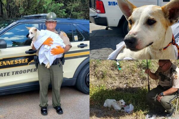Tennessee Highway Patrol trooper adopts dog he rescued from the heat