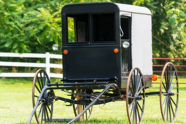 2 children killed after Amish buggy hit by pickup truck